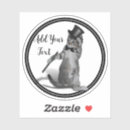 Search for tap dance stickers Cat