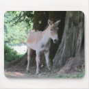Search for donkey mousepads Cute