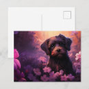 Search for wraps postcards For her