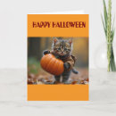 Search for kitty cards Pumpkin