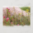 Search for foilage postcards Flower