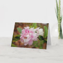 Search for quince cards Pink