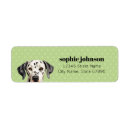 Search for dalmation return address labels Dog