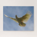 Search for australian birds puzzles Parrot