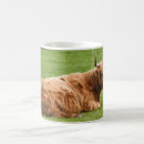 Search for highland cattle mugs Bull