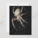 Search for invertebrates postcards Nature