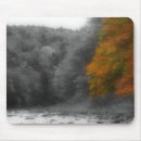 Search for autumn tree mousepads Photography