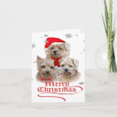 Search for terrier christmas cards Unique