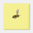 Search for bumble bee magnets Cute
