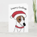 Search for funny whippet cards Whippets
