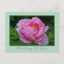 Search for notes horizontal postcards Floral