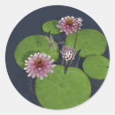 Search for damselfly stickers Dragonfly