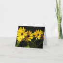 Search for yellow christmas cards Nature