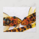 Search for top or bottom postcards Tropical