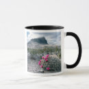Search for big bend national park mugs Landscape