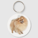 Search for pomeranian dog key rings Puppies