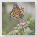 Search for monarch barware Beautiful
