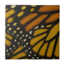 Search for wings tiles Butterflies
