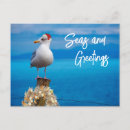 Search for tropical sea postcards Ocean