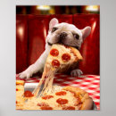 Search for animals eating posters Humour