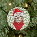 Search for meowy christmas tree decorations Animals