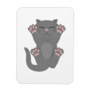 Search for asleep magnets Animal