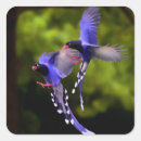 Search for purple bird stickers Beautiful