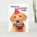 Search for funny fox Dog