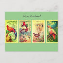 Search for new zealand bird postcards Vintage