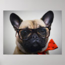 Search for pug picture posters Cute
