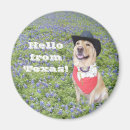 Search for texas souvenirs magnets Houston