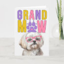 Search for havanese funny postcards Bichon