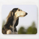 Search for profiles mousepads Nature