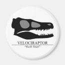 Search for paleontology magnets Jurassic