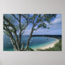 Search for location posters Tropical