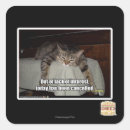 Search for interesting stickers I can has cheezburger