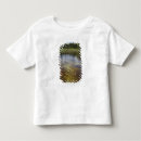 Search for pond reflection tshirts Nature