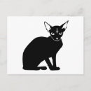 Search for evil postcards Cat