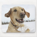 Search for effort mousepads Outdoors