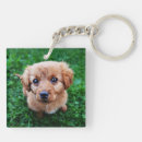 Search for puppies key rings Adorable