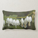 Search for dicentra Flowers