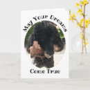 Search for funny dog birthday cards Canine