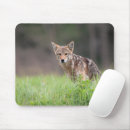 Search for coyote mousepads Canine
