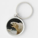Search for polar bears key rings Wildlife