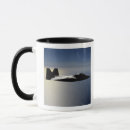 Search for f 22 raptor mugs Aircraft