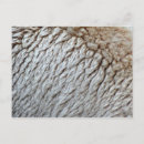 Search for wool postcards Nature