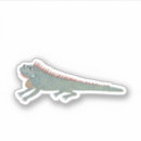 Search for iguanas Green