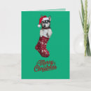 Search for husky christmas cards Santa