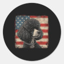 Search for b day stickers July 4th