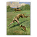 Search for chasing cards Animals